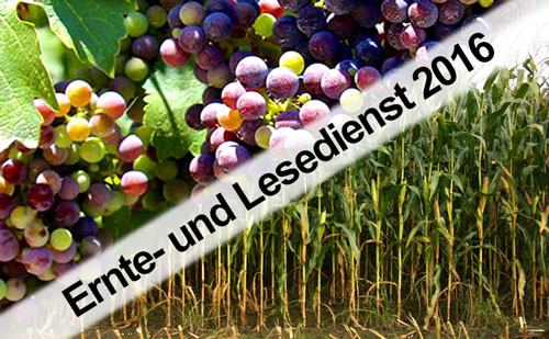 Eibl&Wondrak Ernte und Lesedienst Eibl&Wondrak Ernte und Lesedienst