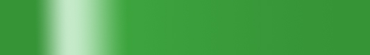grüne Leiste