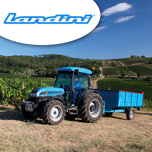 Landini